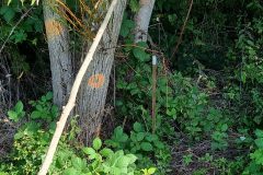 20220904_123940-scaled