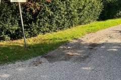 3_thumbnail_image2